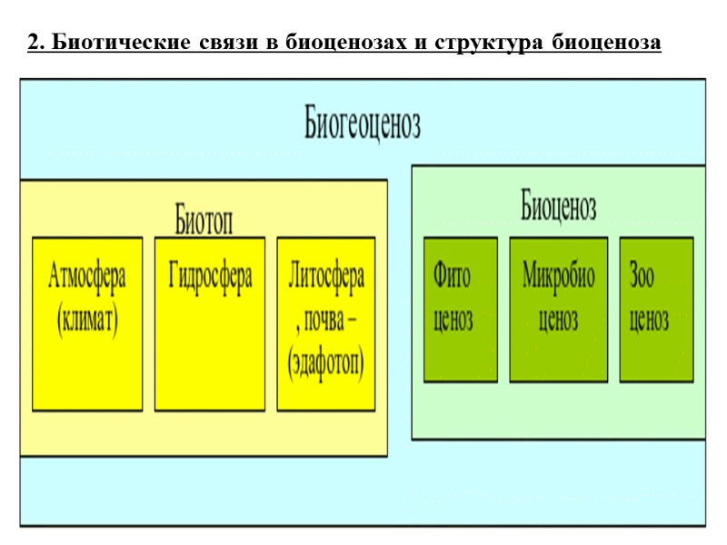2. Биотические связи в биоценозах и структура биоценоза
